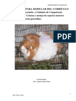 Aparato Digestivo Del Cuy PDF