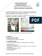 Hemoterapia Transfusional