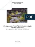 Native Plant Landscaping in Southwest Montana