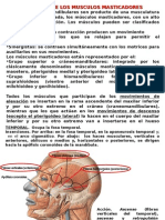 Anatomia Musculos Masticadores, Nervio Trigemino