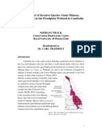 The Impact of Invasive Species Mimosa Pigra in Cambodia