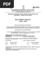 Relatório Parcial - PIBIC GEPA PDF