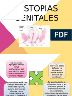 Distopias Genitales y Examenes Auxiliares