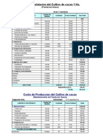 Costo de Produccion Instalacion Cacao 1° y 2° Año