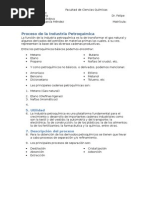 Proceso de La Industria Petroquímica 