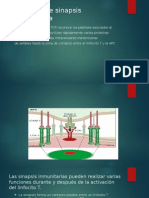 Formación de Sinapsis Inmunológica