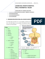 Secreciones Del Aparato Digestivo