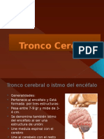 Tronco Cerebral