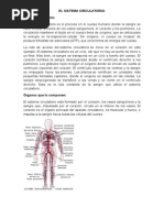 El Sistema Circulatorio