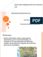 Bioprocesos para Remediación de Pasivos Ambientales