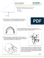 Practico 1 - Guia de Ejercicios-2