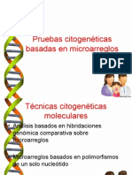 Pruebas Citogenéticas Basadas en Microarreglos