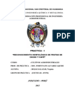 Informe de Cafe y Cacao PDF