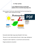 IGCSE Biology 4.2 Plant Nutrition