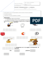 Prueba Lengauej Letra L M P D S