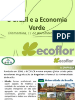 Economia Verde PDF