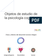 Objetos de Estudio de La Psicología Cognitiva