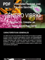 Género Vibrio