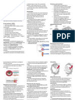 Ciclo Menstrual EXPOSICION