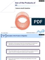 Absorption of The Products of Digestion