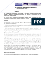 El Desarrollo de La Atencion La Percepcion y La Memoria