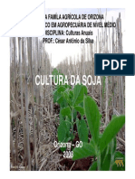 Cultura Da Soja