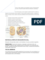 Immunology: Section 4-2, Parts of The Eukaryotic Cell