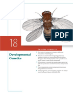 Developmental Genetics