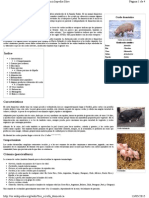 Sus Scrofa Domestica