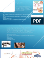 Bronquitis Aguda y Crónica