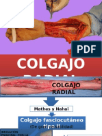 Colgajo Radial