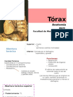 Anatomia Del Torax