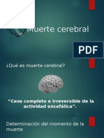 Muerte Cerebral