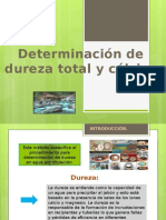 Presentación DUREZA