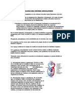 Fisiologia Del Sistema Circulatorio