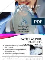 Bacterias y Su Uso Industrial Comp