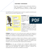 Caracteres Taxonomicos