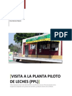 Informe Planta Piloto de Leche