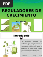 Reguladores de Crecimiento