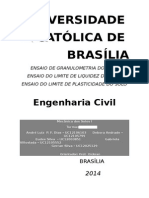 Relatorio Final - Ensaios Granulometria e Limite de Liquidez