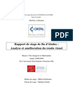 Rapport de Stage de Fin D'études: Analyse Et Amélioration Du Rendu Visuel