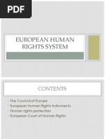 European Human Rights System