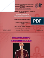 Traumatismo Raquimedular