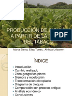 Producción de Insulina en El Tabaco