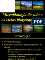 Aula 9 Microbiologia Do Solo - Microbiota Do Solo, Ciclos Biogeoquimicos 2011.1