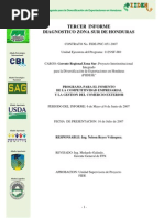 Informe Zona Sur