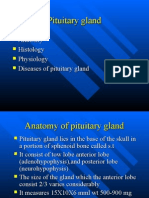 Pituitary Gland