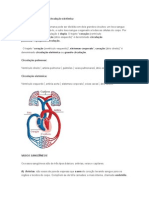 Circulação Pulmonar e Circulação Sistêmica