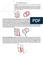 Electrocardiografía Básica