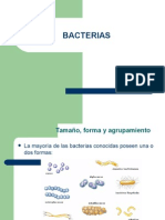 1 - Cel. Proc